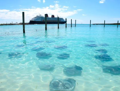 Playa de Castaway Cay con crucero Disney