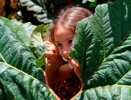 Costa Rica en familia
