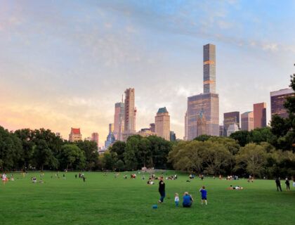 Pradera de Central Park