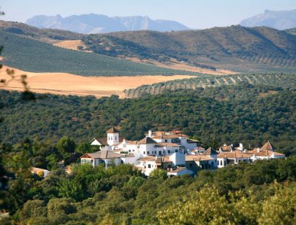 Granada olivos naturaleza relax