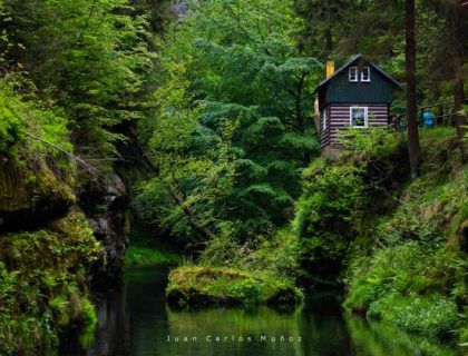 Trail, Gorges of Kamenice River, Bohemian Switzerland National Park, Czech Republic, Europe