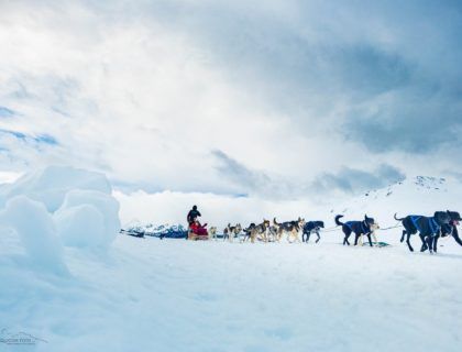 trineo de perros, nieve sin esquiar, que hacer en la nieva si no esquias