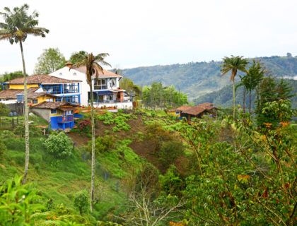 Viajes a America Latina, Viajes con amigas, ruta del cafe