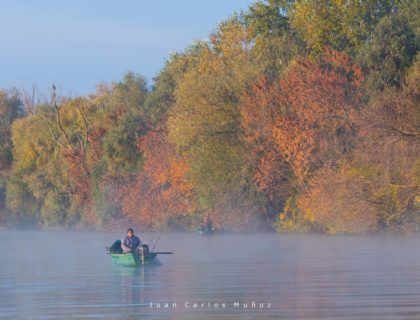 delta del danubio en etheria magazine