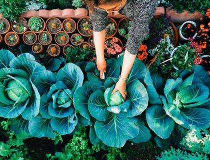 viajeros responsables, hoteles compretidos