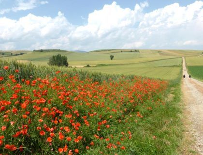 Camino de santiago, la rioja, santo domingo