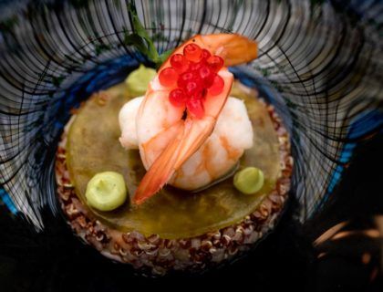 hotel palace, quinoa roja, gastrofestival