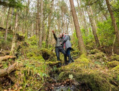 bosques de sligo, turismo irlanda