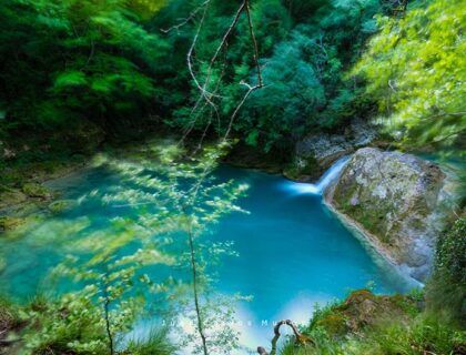 Nacedero del Urederra en navarra