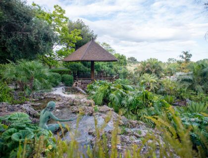 jardin botanico de torremolinos