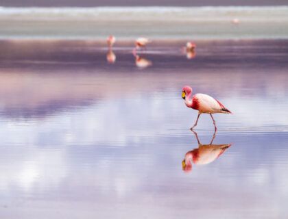 Salar de Uyuni.