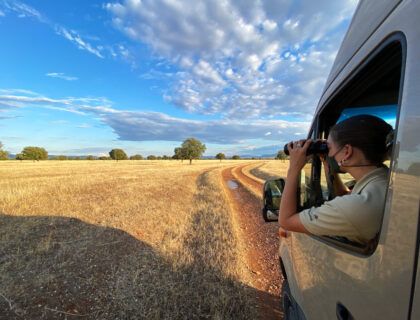 ruta coche parque cabaneros comarca entreparques