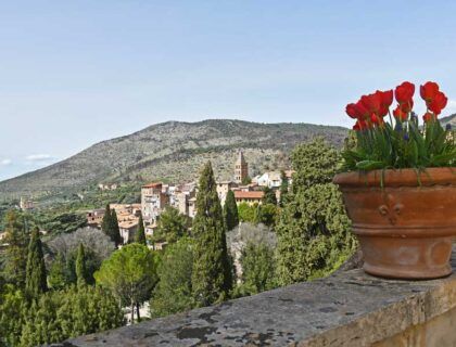 Flores y vista desde Villa d'Este