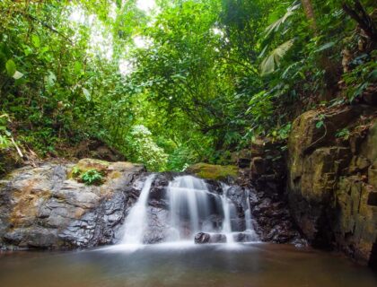 Naturaleza en estado puro.