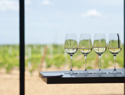 Copas en la Sala de catas de la Bodega Montepedroso