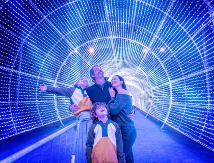 Funchal en Navidad luce aún más luminosa que de costumbre.