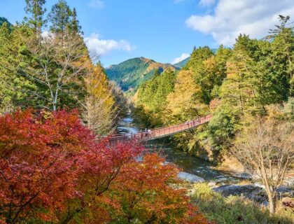 Valle Akigawa, en la ruta del sake en Tokio