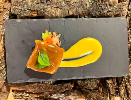 Tapa del concurso de Aranda de Duero.