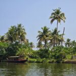 Los fotogénicos remansos de Kerala